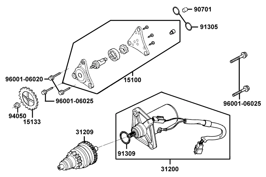 E06 Starting Motor and Oil Pump parts diagram