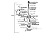 E09 Carburetor parts diagram