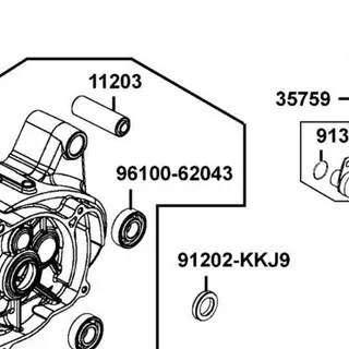 96100-62043-00-M1 BEARING BALL RADIAL 6204 — diagram cutout