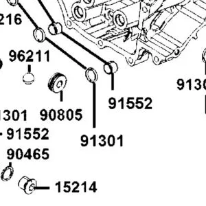 91301-LGC6-E00 O RING
