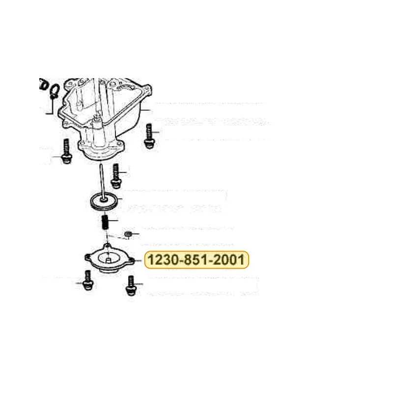 1230-851-2001 COVER (ACCP) — diagram cutout