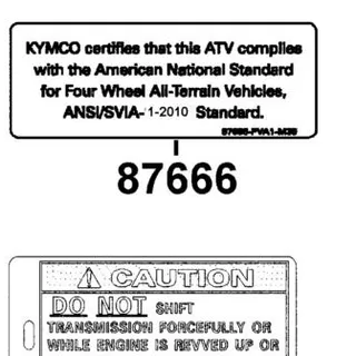 87666-LEG2-M30-T01 SVIA CERTIFICATE LABEL — diagram cutout