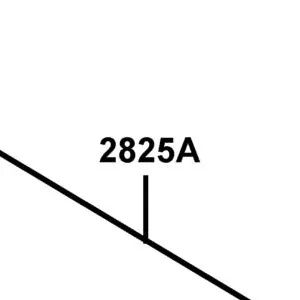 2825A-LBA8-C10 CARBURETOR ASSY — diagram cutout