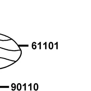 61101-LKL5-E90-N1R FENDER B FR. — diagram cutout