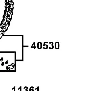 40530-LKL5-E30 CHAIN DRIVE 428HG*106 — diagram cutout