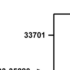 33701-ACA5-M30 LIGHT ASSY RR COMB — diagram cutout