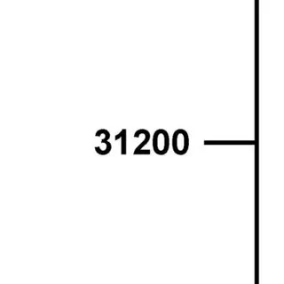 31200-LHM9-E10 MOTOR ASSY STARTER — diagram cutout