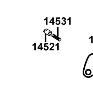 14521-AAG1-C00 "PLUG,BEARING PUSH" — diagram cutout