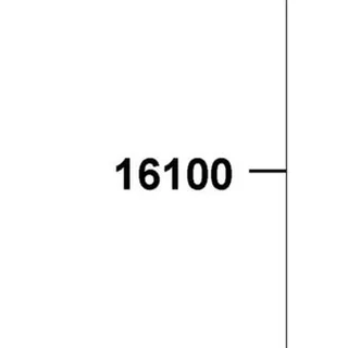 16100-AEA7-E10 THROTTLE BODY ASSY — diagram cutout