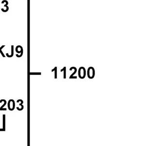 11200-KKD9-C00 CRANK CASE COMP L — diagram cutout
