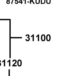 31100-LGS6-E10 AC GEN ASSY — diagram cutout