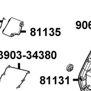 81135-LGR5-E10-N1R LID R MAINT. FR. WINKER — diagram cutout