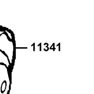 11341-KKD6-C00-NJA COVER L SIDE — diagram cutout