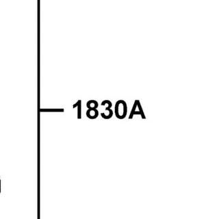 1830A-ACB9-M30-J1P MUFFLER ASSY EXH — diagram cutout