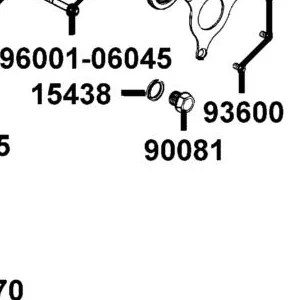 90081-PWB1-900 PLUG CASE 12X14 — diagram cutout