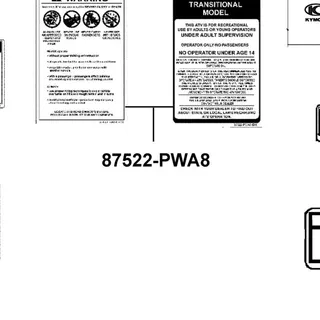 87522-PWA8-E00-T01 HANG TAG Y14+ — diagram cutout