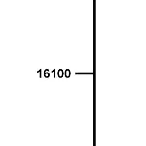 16100-AKG9-M00 THROTTLE BODY ASSY — diagram cutout