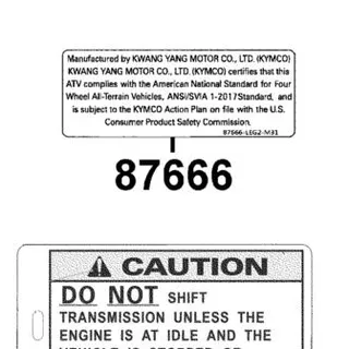 87666-LEG2-M31-T01 SVIA CERTIFICATE LABEL — diagram cutout