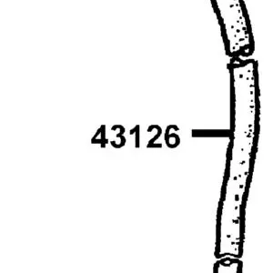 43126-PVA2-900 HOSE ASSY RR BRAKE — diagram cutout