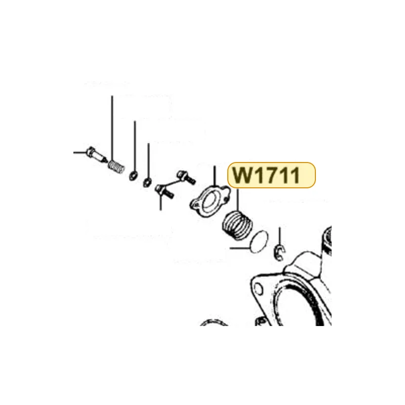 W1711-300-9901 COMPR SPG — diagram cutout