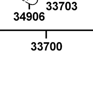 33700-LLB1-900 LIGHT ASSY TAIL — diagram cutout