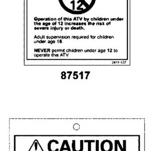 87517-PTA7-M35-T01 WARNING AGE 12 — diagram cutout