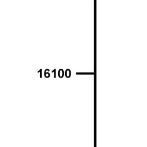 16100-AGA1-M00 THROTTLE BODY ASSY — diagram cutout