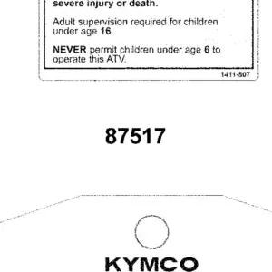 87517-PWA3-M35-T01 WARNING AGE 6 — diagram cutout