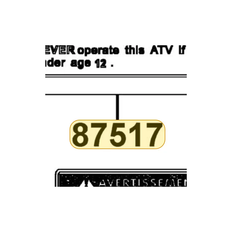 87517-LBD4-MG0-T01 CAUTION DRIVE AGE (1) C.2006.02.23 — diagram cutout