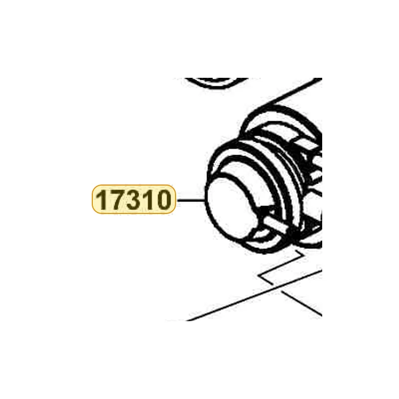 17310-LFB5-M30 CANISTER COMP — diagram cutout