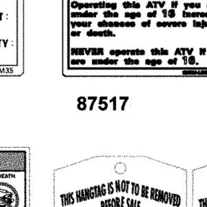 87517-LDB5-E00-T01 CAUTION DRIVE AGE 16 — diagram cutout