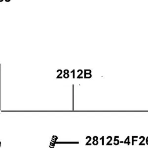 2812B-GFY6-200 OUTER COMP STARTING CLUTCH **(0) C.2008. — diagram cutout