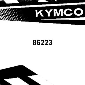 86223-AEB8-M32-T01 STRIPE R FUEL TANK — diagram cutout