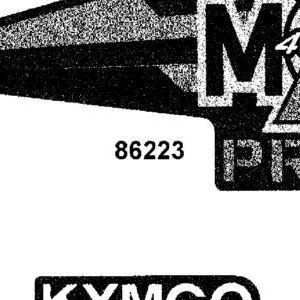 86223-AEB8-M33-T01 STRIPE R FUEL TANK — diagram cutout