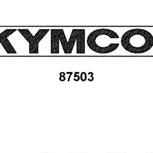87503-LDB5-900-T02 STRIPE KYMCO 120MM — diagram cutout
