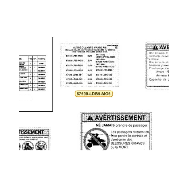 87500-LDB5-MG5-T01 INSTRUCTION FOR FRENCH LABELES — diagram cutout