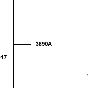 3890A-LFE9-E05 ASSY WINCH — diagram cutout