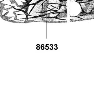 86533-ALC1-E60-T08 STRIPE L FENDER FRONT — diagram cutout