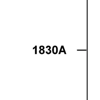 1830A-ALC1-M00 MUFFLER ASSY EXH — diagram cutout