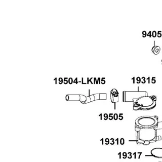 19504-LKM5-E00 HOSE WATER D RADIATOR-ENG — diagram cutout