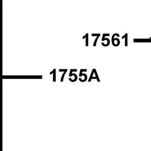 1755A-LKC3-E00 FUEL PUMP ASSEMBLY — diagram cutout