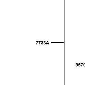 7733A-LKM8-700 CARGO BED ASSY — diagram cutout
