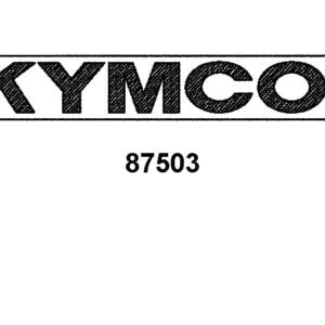 87503-LDB5-900-T01 STRIPE KYMCO 120MM — diagram cutout
