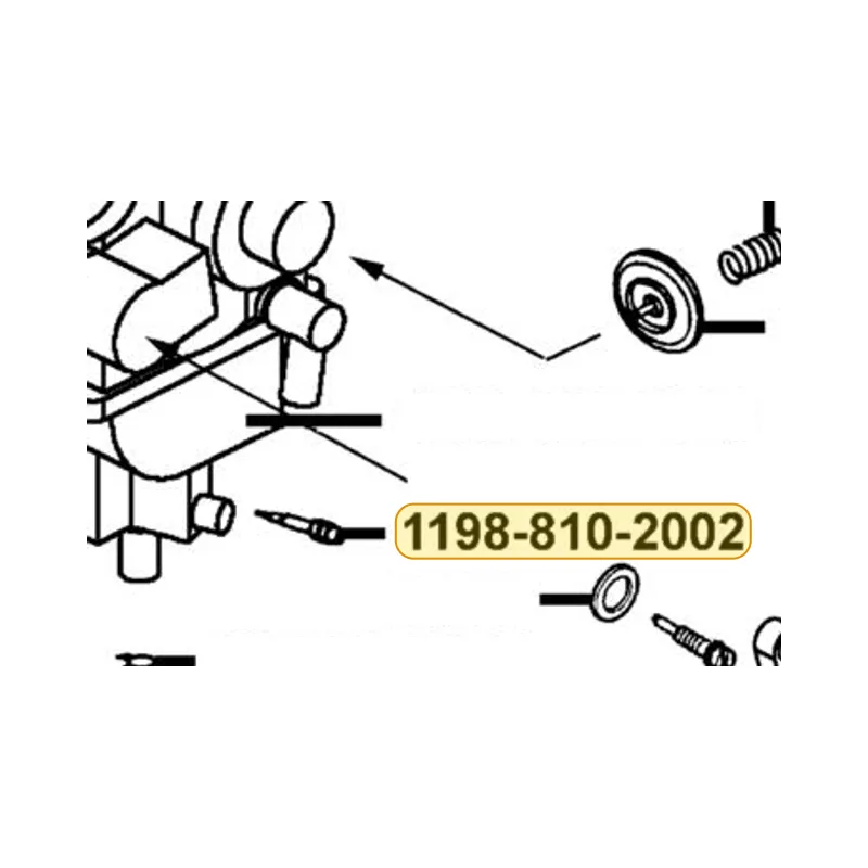 1198-810-2002-3 SCREW (D.S) — diagram cutout