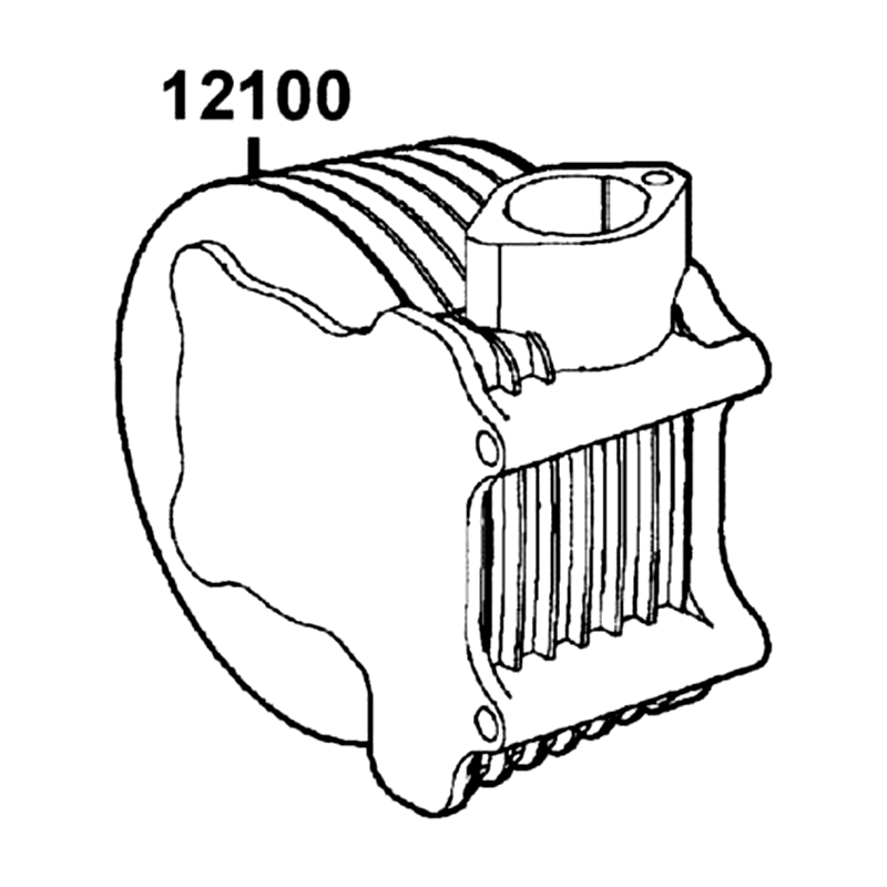 12100-GFY6-C00 CYLINDER COMP — diagram cutout
