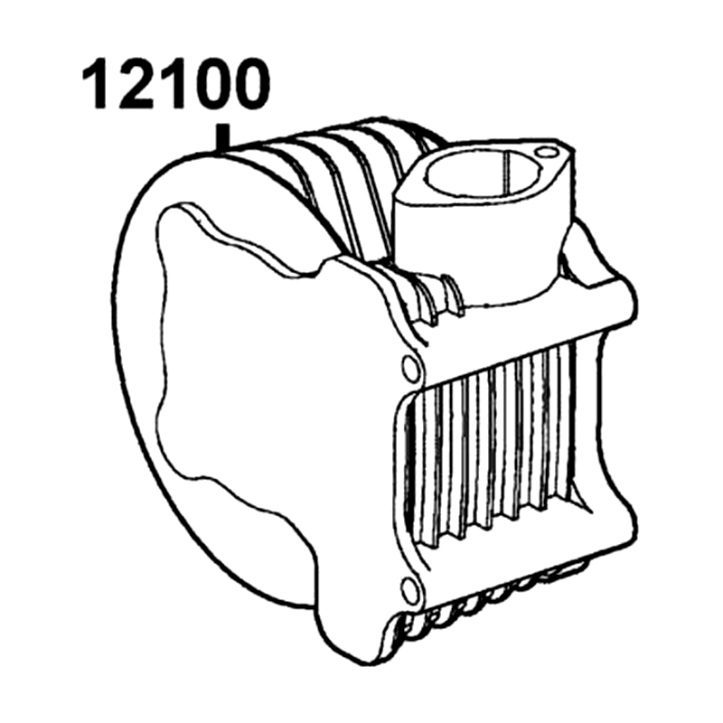 12100-LFE2-900 CYLINDER COMP — diagram cutout