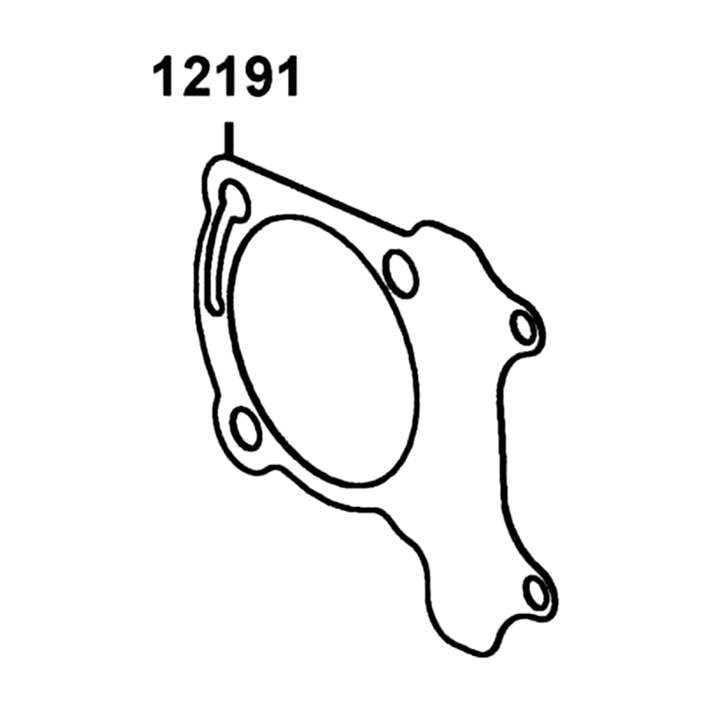 12191-LGS6-E10 GASKET CYLINDER — diagram cutout