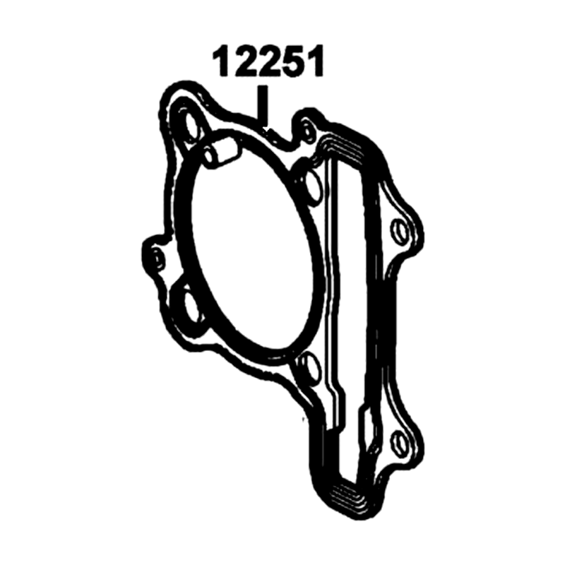 12251-LGS6-E10 "GASKET, CYLINDER HEAD" — diagram cutout