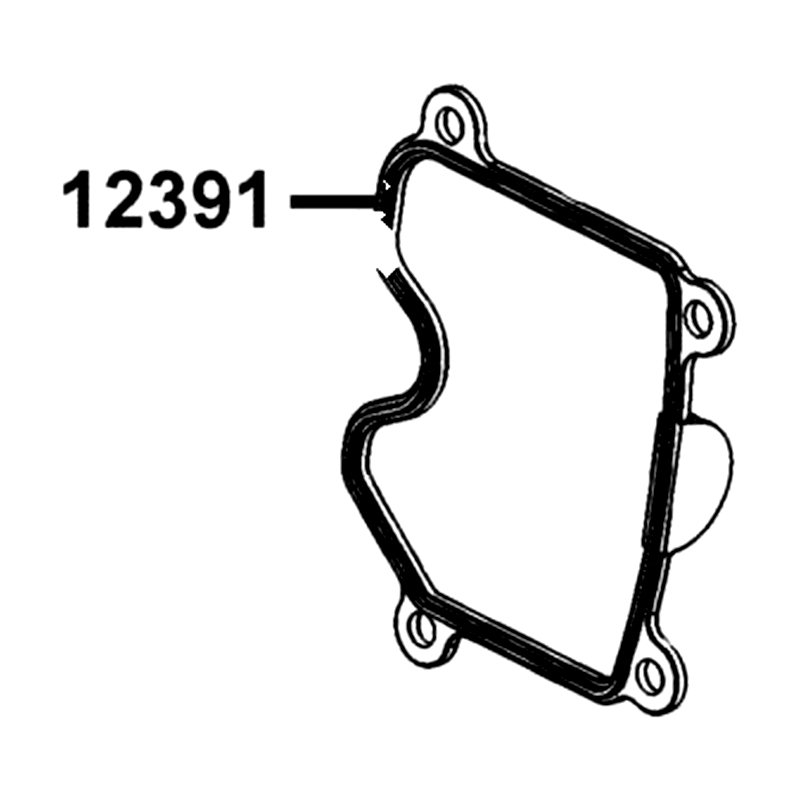 12391-LFE2-C00 GASKET HEAD COVER — diagram cutout