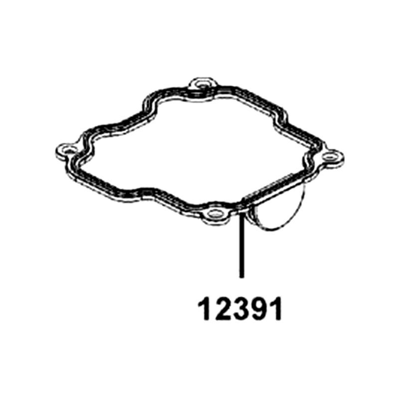 12391-LGM5-920 PACKING CYLN HAED — diagram cutout